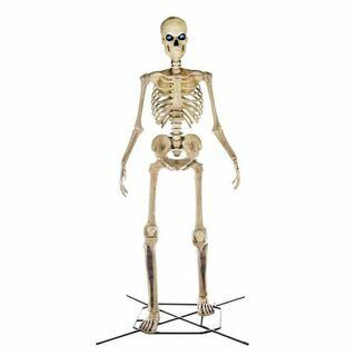 12 pēdas milzu izmēra skelets 