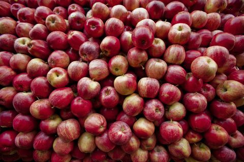 sarkani āboli gulēja kaudzē pie augļu stenda Marylandā, ASV