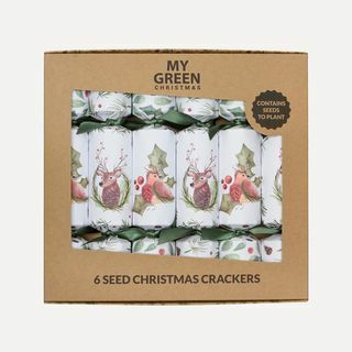 Sešu sēklu Ziemassvētku krekeru kastīte