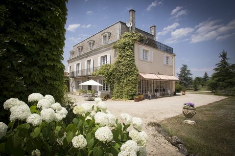 Vidus Pireneji - Chateau - Francija - priekšā - Knight Frank