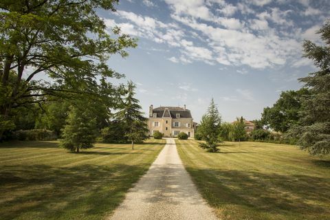 Vidus Pireneji - Chateau - Francija - laukumi - Knight Frank