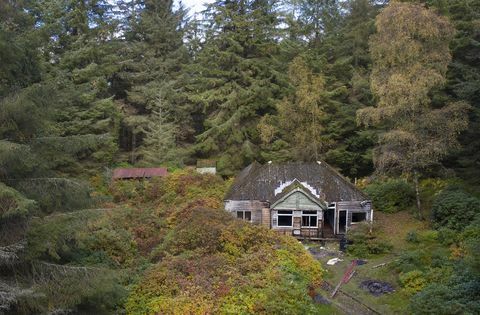 Tiek pārdota apmēram 103 akru liela sala, kas atrodas pie dienvidu Loch lomond rietumu krasta