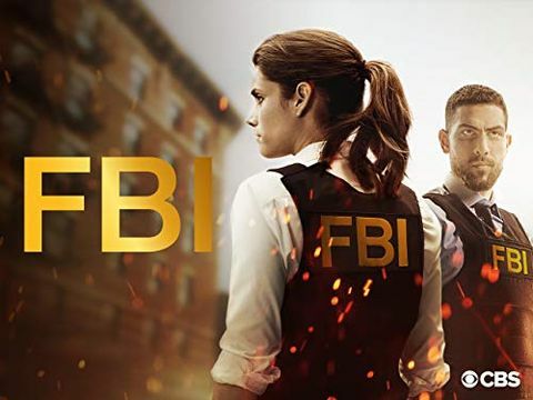 FBI 1. sezona