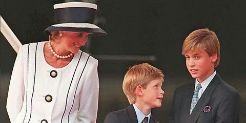 Princis Viljams un princis Harijs runā par nožēlu par "steidzīgo" pēdējo sarunu ar princesi Diānu