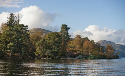 Tiek pārdota apmēram 103 akru liela sala, kas atrodas pie dienvidu Loch lomond rietumu krasta