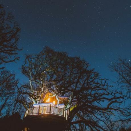 Treetops Treehouse - Devona - nakts - Canopy & Stars