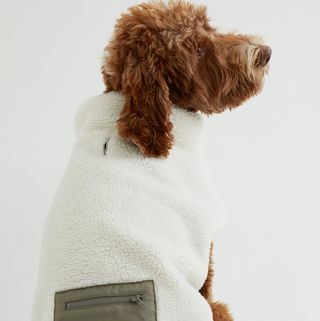 Suņu jaka ar kabatas detaļām