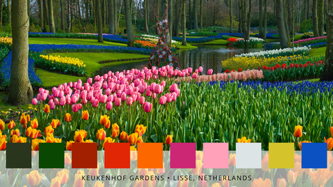 pasaules slavenāko dārzu krāsu paletes