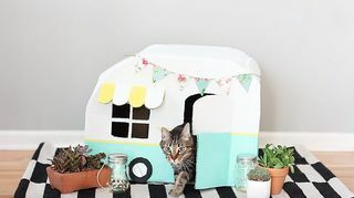 DIY kartona kaķu mājas kitty camper