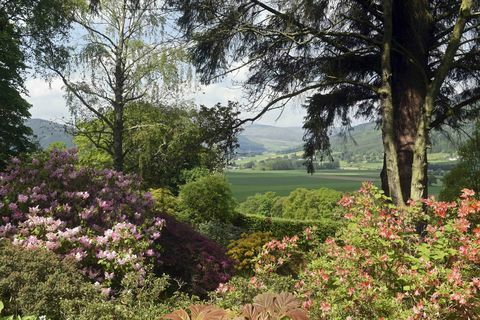 Bolfracks Estate - Perthshire - dārzi