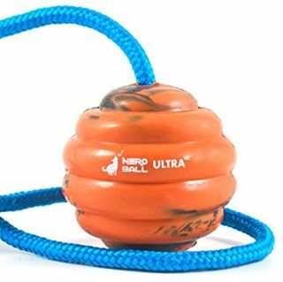 Nero Ball Ultra TM — suņu apmācības bumba uz virves — vingrošanas un balvas rotaļlieta suņiem