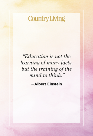 citāts par Albertu Einšteinu