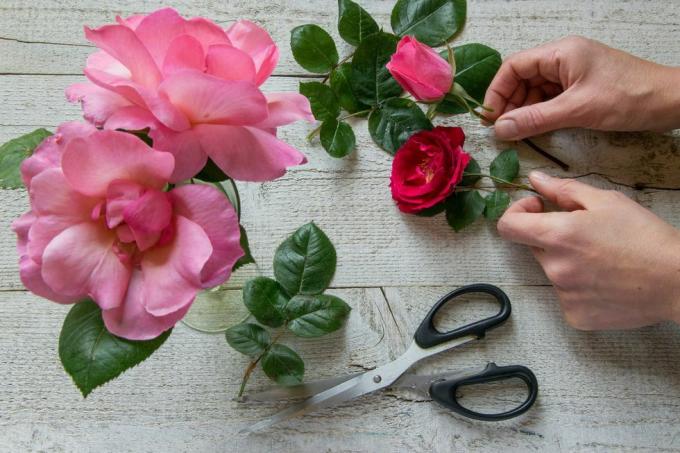 apgriezts florista attēls, kurš tur rozi ar ziediem uz galda