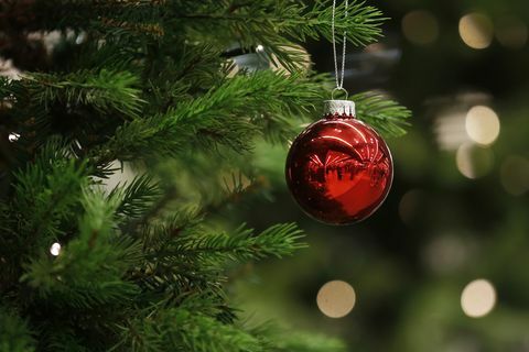 No koka karājas Ziemassvētku eglīte