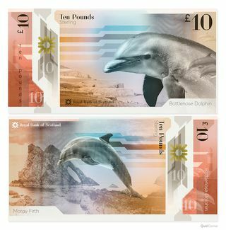 Delfīnu banknotes foto