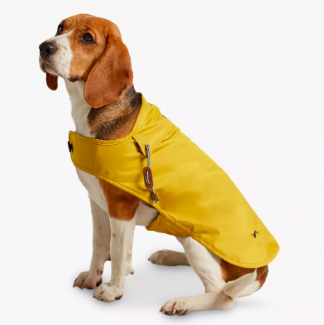 Džoulu sinepju suns lietusmētelis