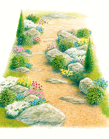 klinšu dārza ilustrācija