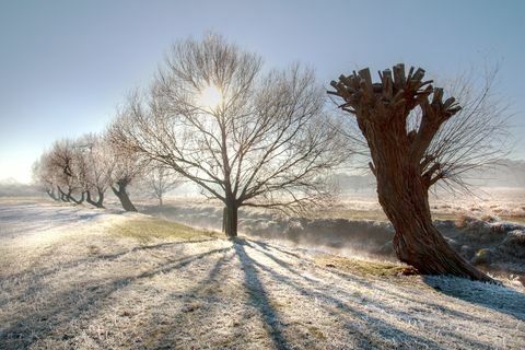 Salnaina ainava pie Ričmondas