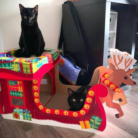 mērķējiet uz brīnumveikalu Ziemassvētku kaķu skrāpēju māju