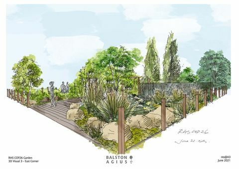 rhs Chelsea ziedu šovs 2021 Cop26 iezīme dārzs