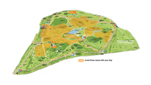 Karaliskajos parkos ir parādīta to teritoriju karte, no kurām jāvairās briežu dēļ