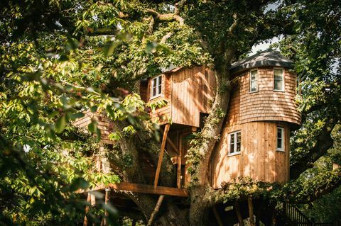 Treetops Treehouse - Devona māja - Canopy & Stars