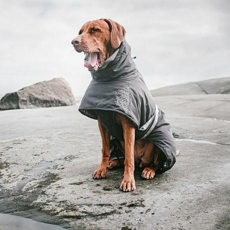 Hurtta Extreme Warmer Dog Coat foto