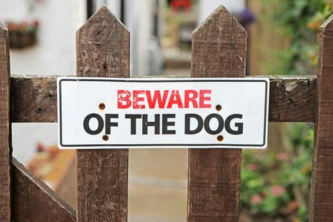 uzmanieties no suņa zīmes uz žoga