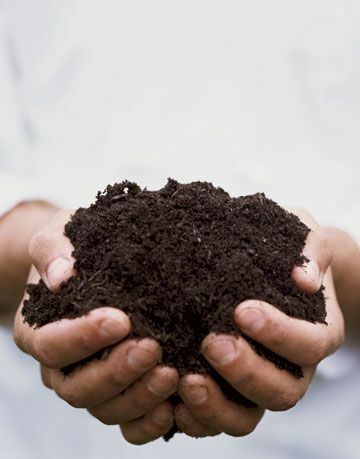 komposta augsne