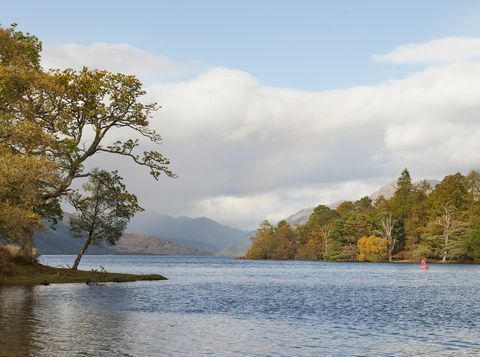 Tiek pārdota apmēram 103 akru liela sala, kas atrodas pie dienvidu Loch lomond rietumu krasta